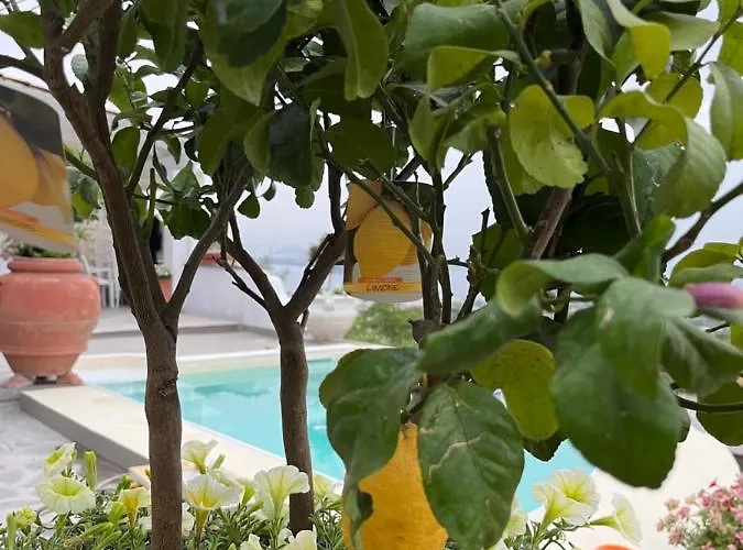 Relais Ettore Barano dʼIschia