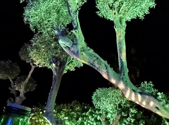 Relais Ettore 4* Barano dʼIschia