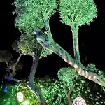Relais Ettore 4* Barano dʼIschia