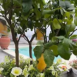 Relais Ettore Barano dʼIschia
