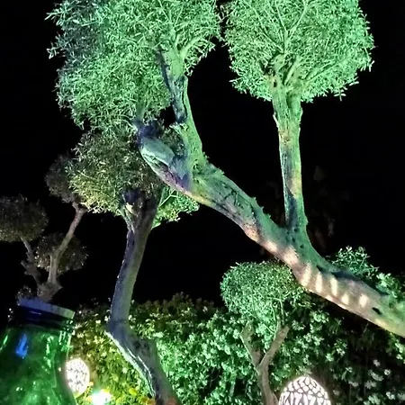 Relais Ettore 4* バラーノ・ディスキア